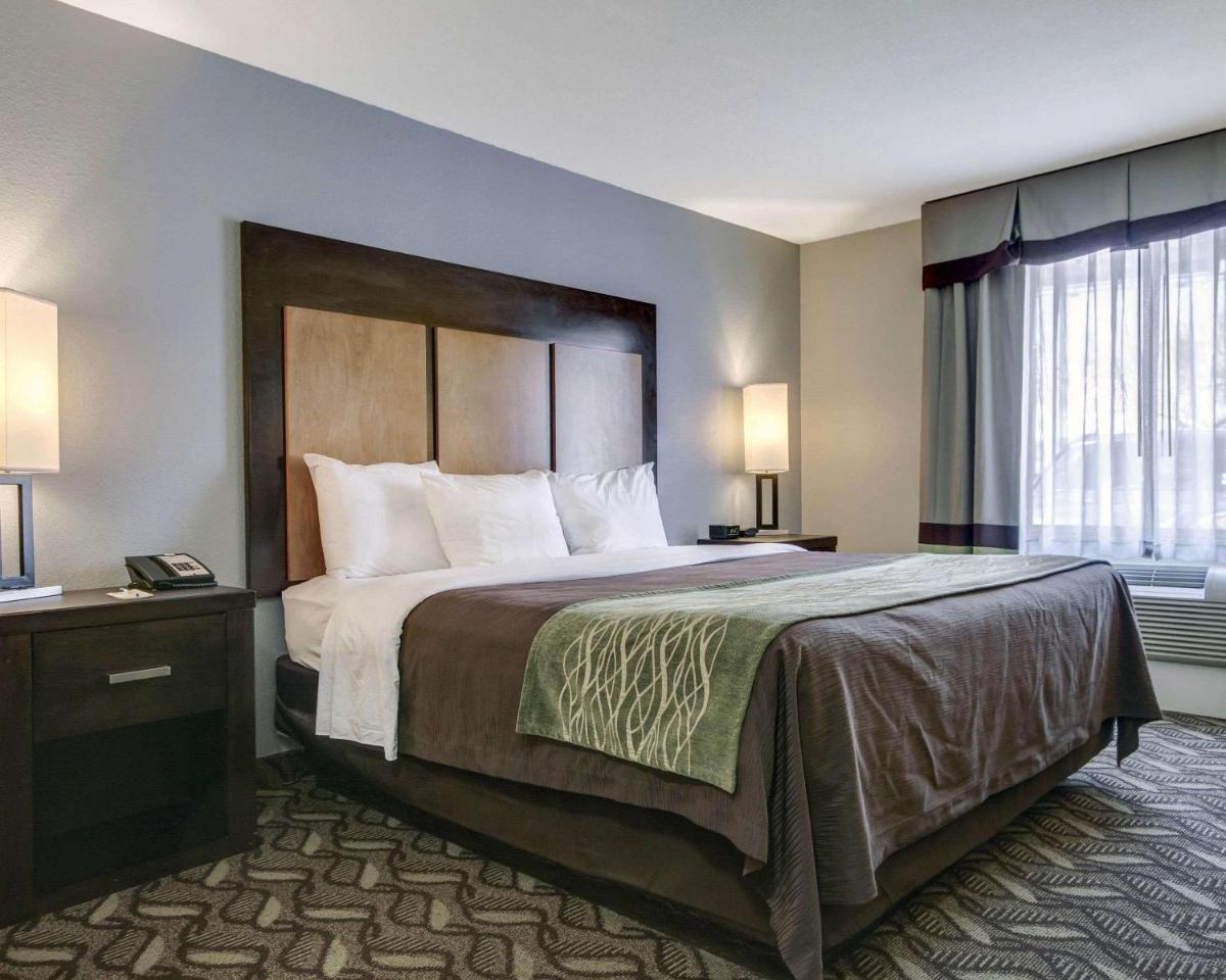 Comfort Inn & Suites I-10 Airport - main image