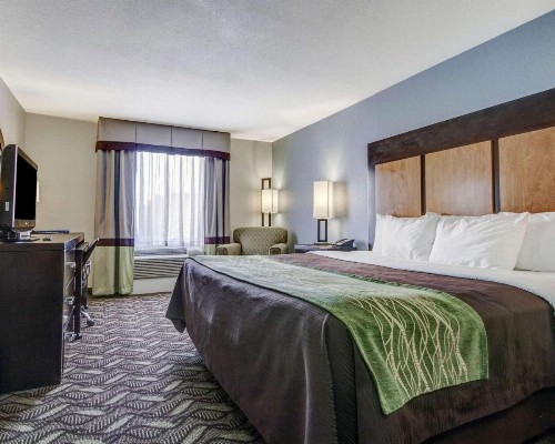 Comfort Inn & Suites I-10 Airport - image 12