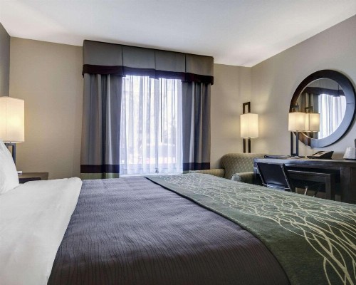 Comfort Inn & Suites I-10 Airport - image 13