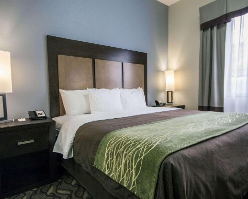 Comfort Inn & Suites I-10 Airport - image 15