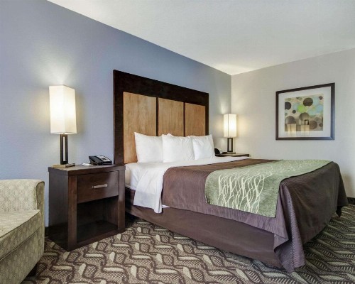 Comfort Inn & Suites I-10 Airport - image 17