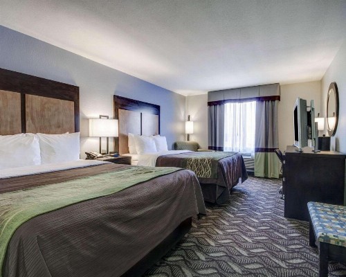 Comfort Inn & Suites I-10 Airport - image 18