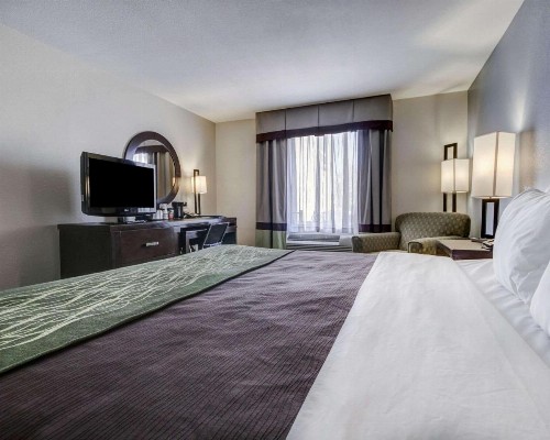 Comfort Inn & Suites I-10 Airport - image 19