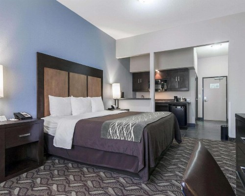Comfort Inn & Suites I-10 Airport - image 25
