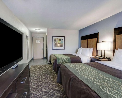Comfort Inn & Suites I-10 Airport - image 9