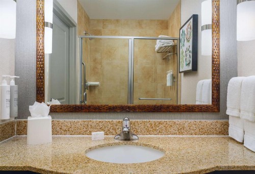 Hilton Garden Inn El Paso Airport - image 2
