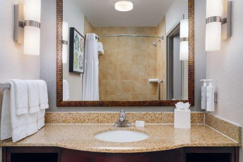 Hilton Garden Inn El Paso Airport - image 21