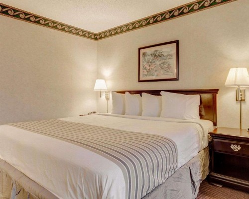 Econo Lodge Inn & Suites - image 8