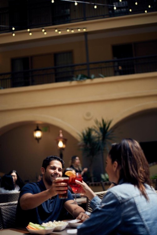 Embassy Suites by Hilton Los Angeles International Airport South - image 20