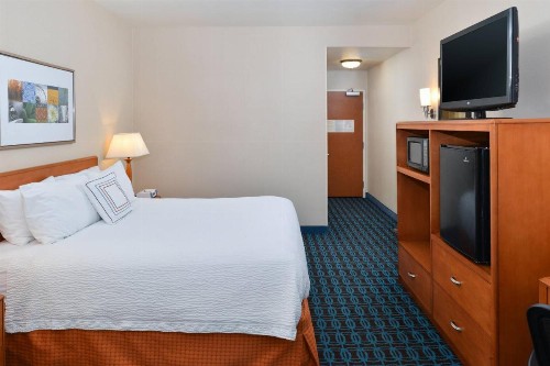 Fairfield Inn and Suites by Marriott Elk Grove - image 11