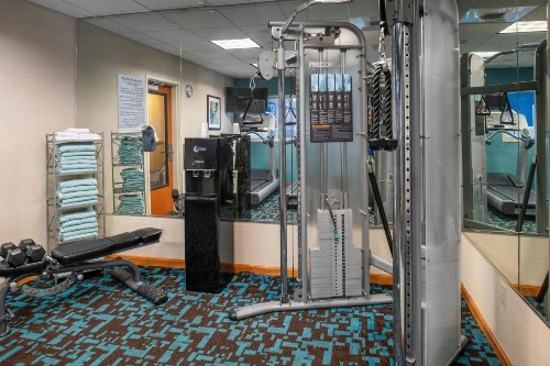 Fairfield Inn and Suites by Marriott Elk Grove - image 49