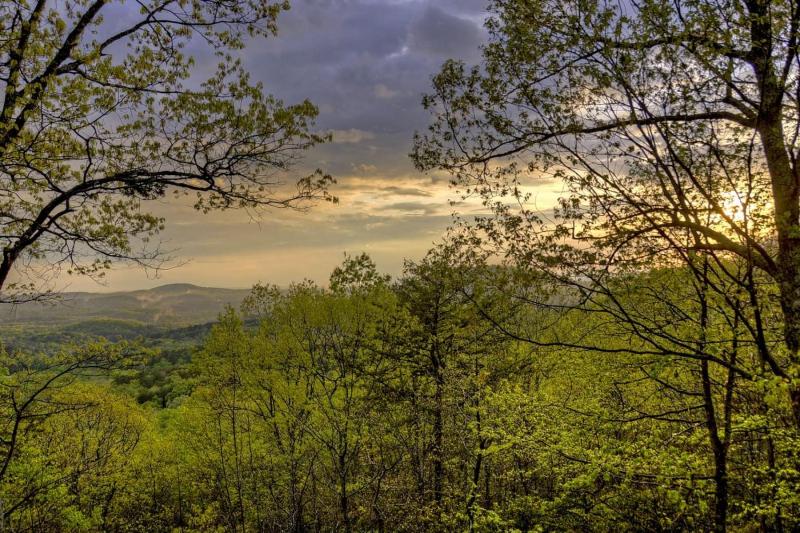 Amazing Sunset - image 5