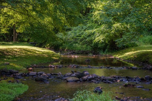 Fox Hollow - image 2