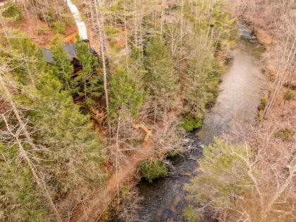 thistle  trout Ellijay