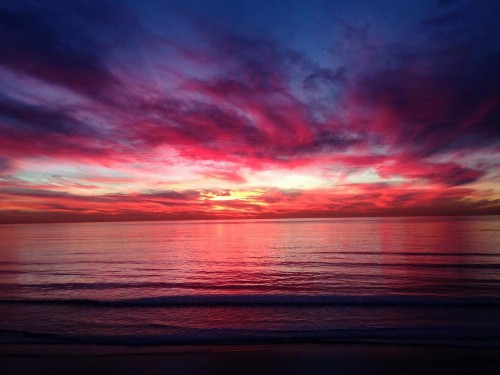 Leucadia Beach Inn - image 33