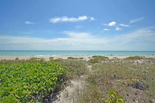Audreys Paradise 8434 - image 22