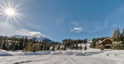 Twin Lift Lodge - image 3