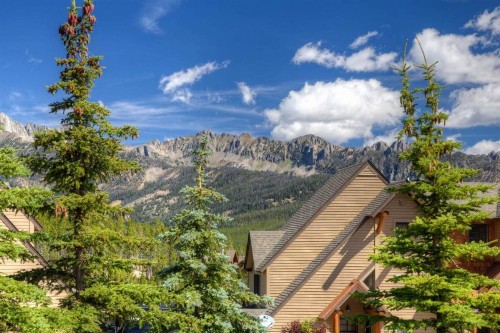 Saddle Ridge R1 - image 8