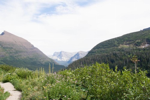 Saddle Ridge B2 - image 6
