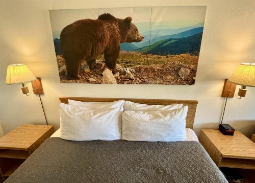 Red Bear Inn - image 18