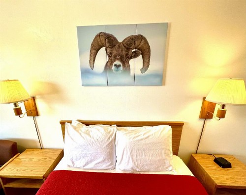 Red Bear Inn - image 33