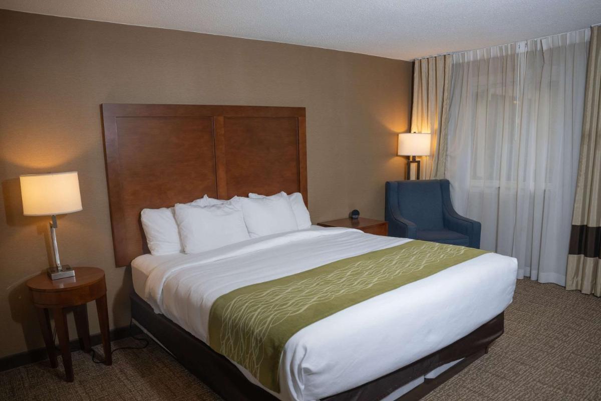 Comfort Inn & Suites Erie - image 4
