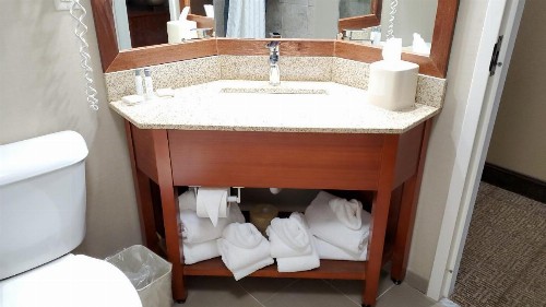 SureStay Plus Hotel by Best Western Erie Presque Isle - image 30