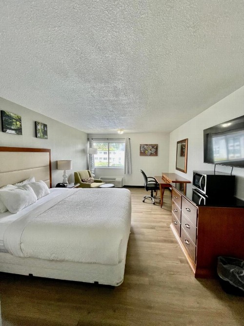 Econo Lodge - image 32