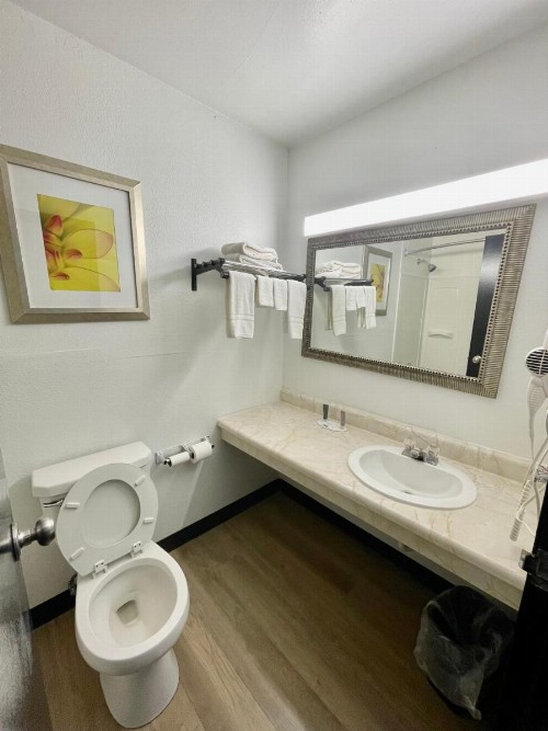 Econo Lodge - image 36