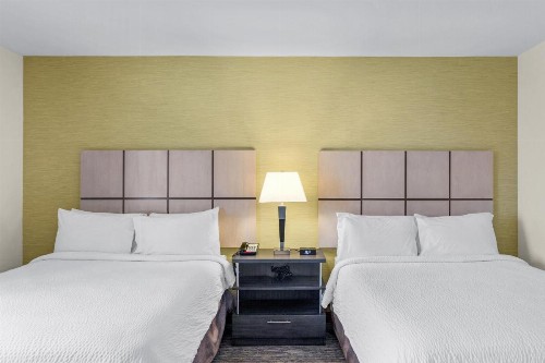 Candlewood Suites Erie an IHG Hotel - image 31