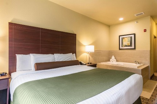 Cobblestone Hotel & Suites - Harborcreek - image 18