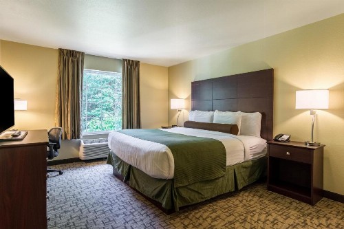 Cobblestone Hotel & Suites - Harborcreek - image 27