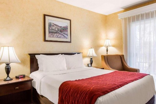 Comfort Inn Escondido San Diego North County - image 29