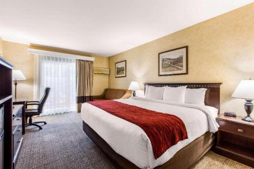 Comfort Inn Escondido San Diego North County - image 36