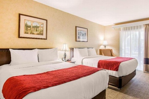 Comfort Inn Escondido San Diego North County - image 39