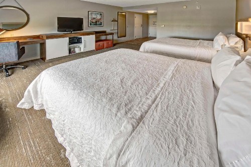 Hampton Inn & Suites Fort Myers Estero - image 13