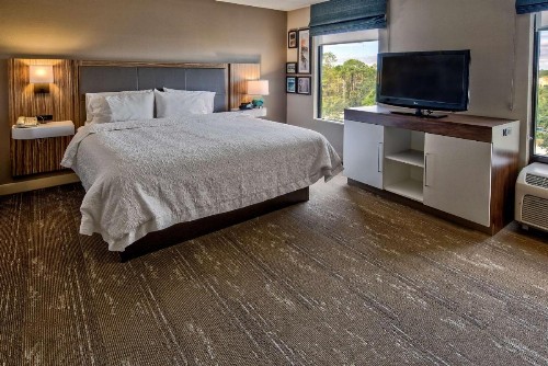 Hampton Inn & Suites Fort Myers Estero - image 18