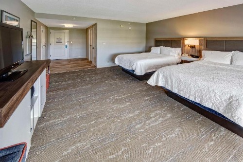 Hampton Inn & Suites Fort Myers Estero - image 3