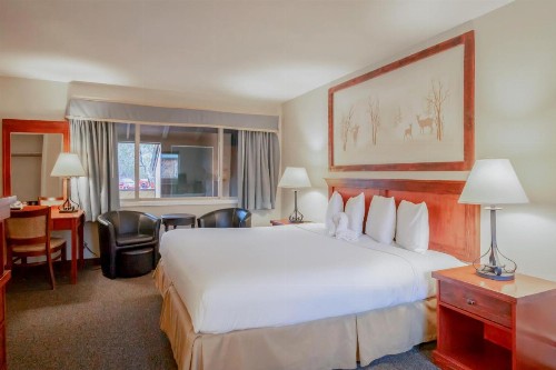 Murphy's River Lodge - image 41