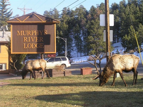 Murphy's River Lodge - image 9