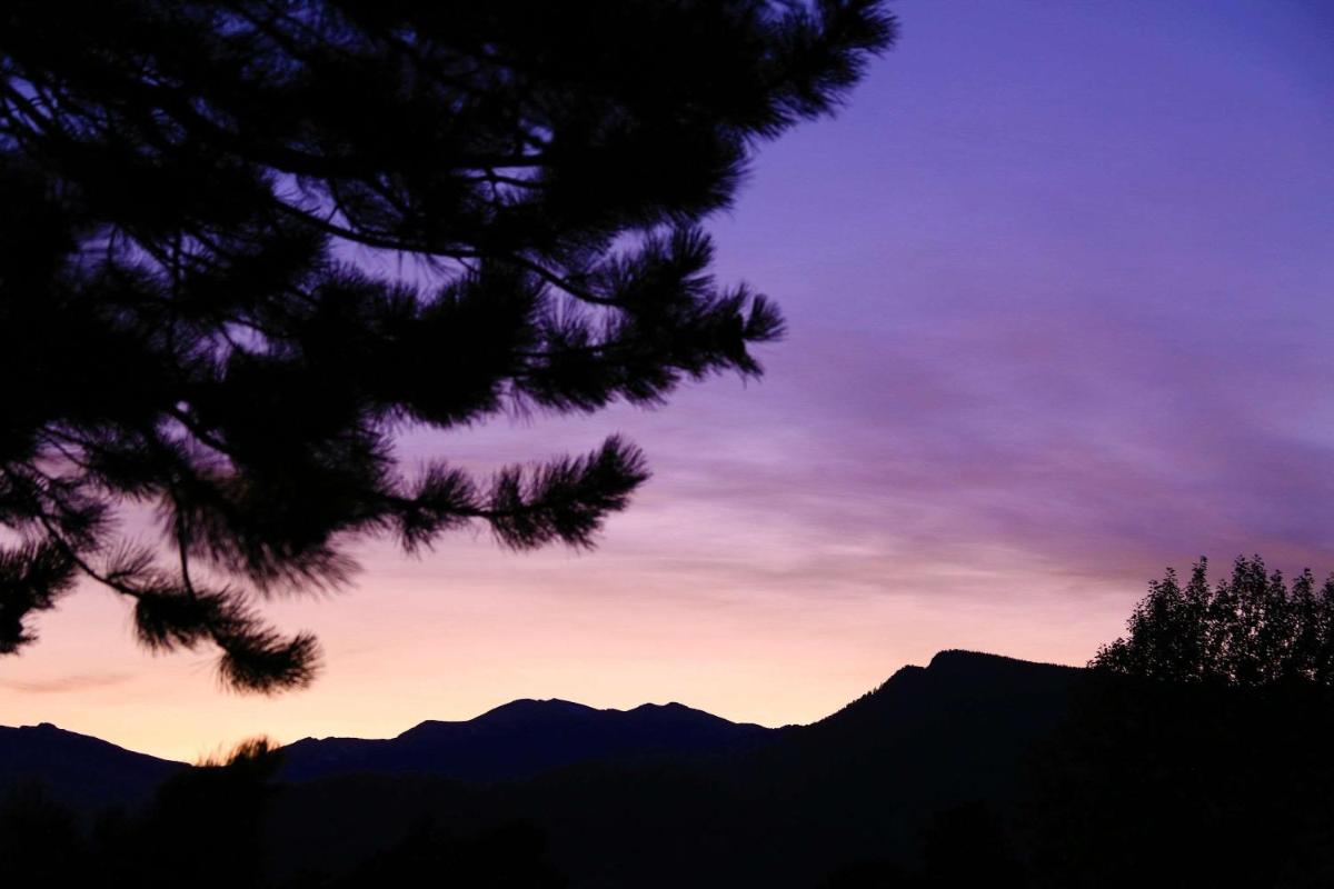 Quality Inn near Rocky Mountain National Park - image 4