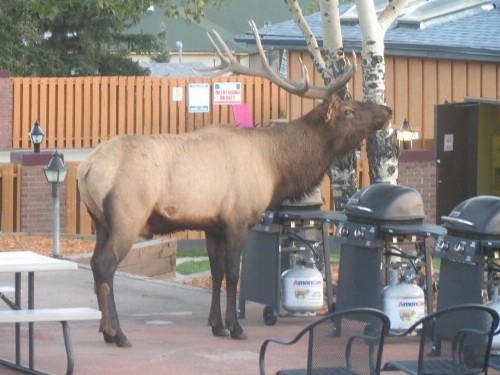 Murphy's Resort - image 30