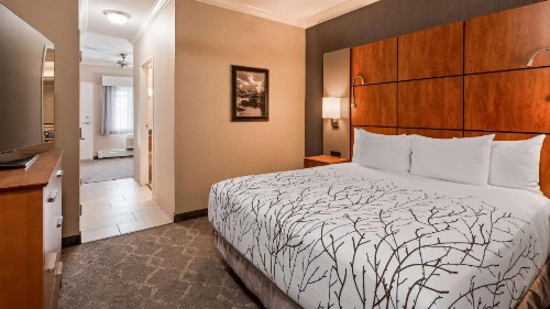Best Western Plus Silver Saddle Inn - image 17