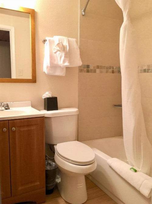 Estes Mountain Lodge - image 8