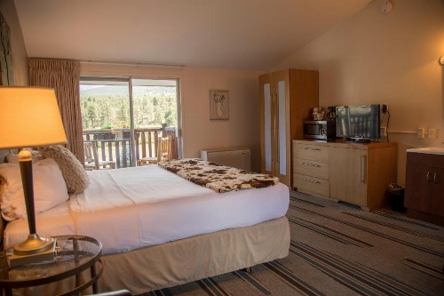 Alpine Trail Ridge Inn - image 12