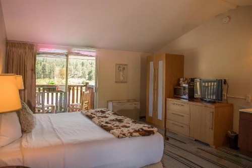 Alpine Trail Ridge Inn - image 13