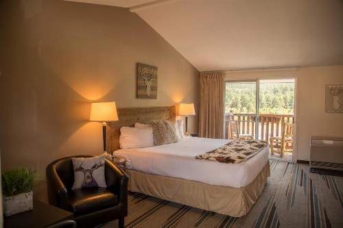 Alpine Trail Ridge Inn - image 14