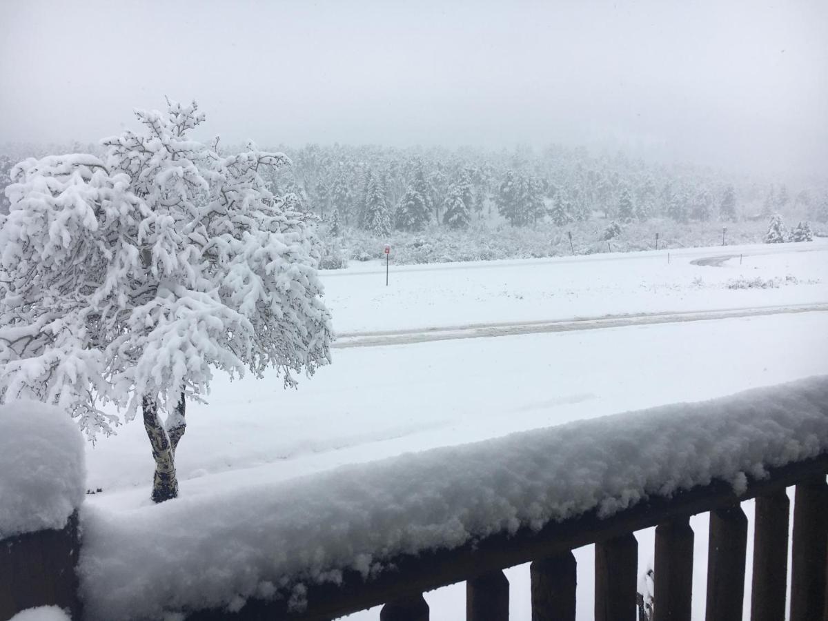 Alpine Trail Ridge Inn - image 3