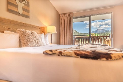 Alpine Trail Ridge Inn - image 9