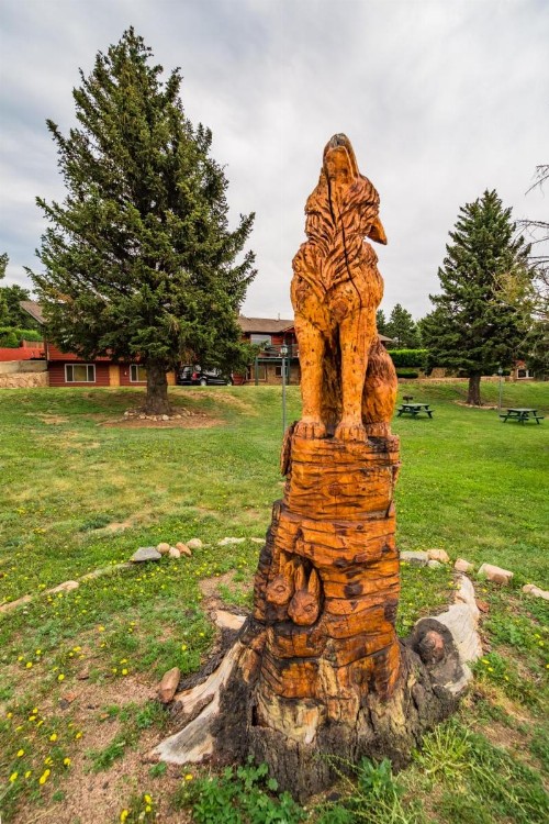 Discovery Lodge - image 36